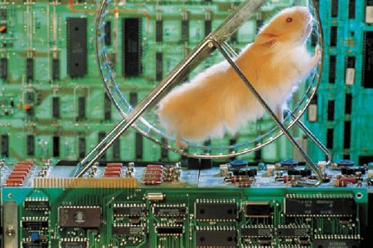 hamster electricity