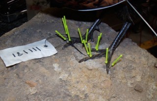 Bird feet with pins