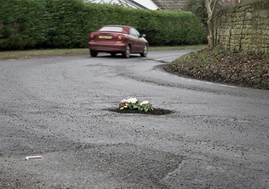 Pothole Garden