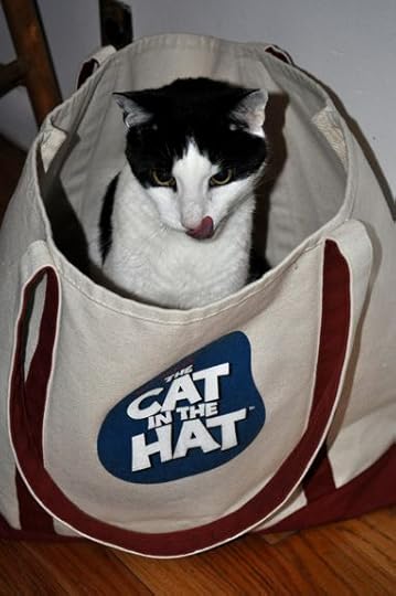 CatinaBag.jpg