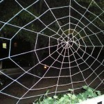 Halloween-spiderweb