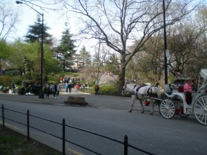 Central Park