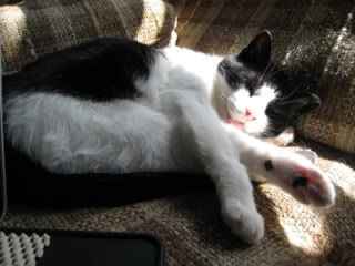 Photobucket