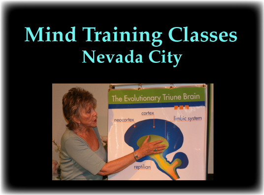 PattFCGMindTraining
