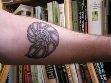 Nautilus tattoo440
