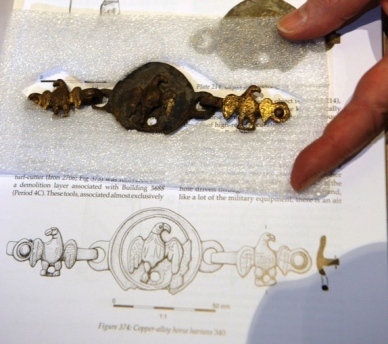 Roman find photo