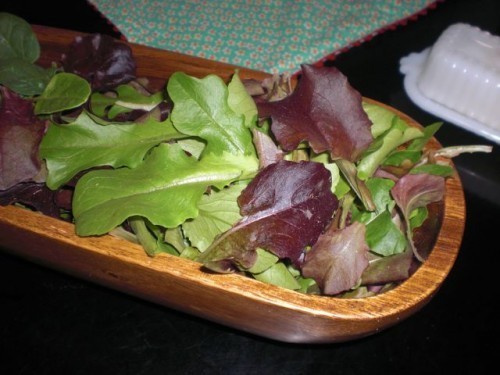 FirstLettuce2010