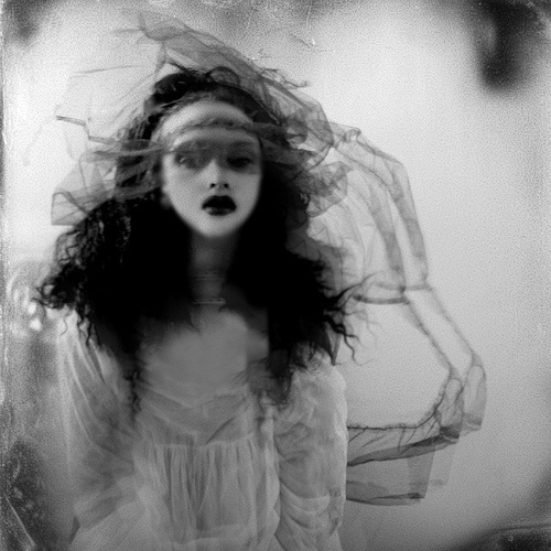 4523677679_4a3955b8e0