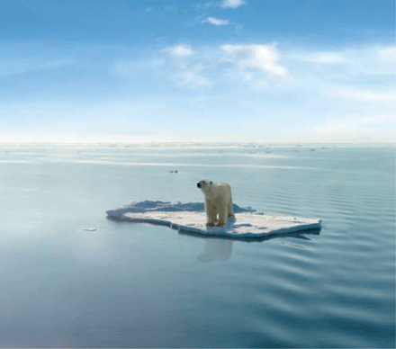 http://blogs.news.com.au/images/uploads/floatypoley.gif