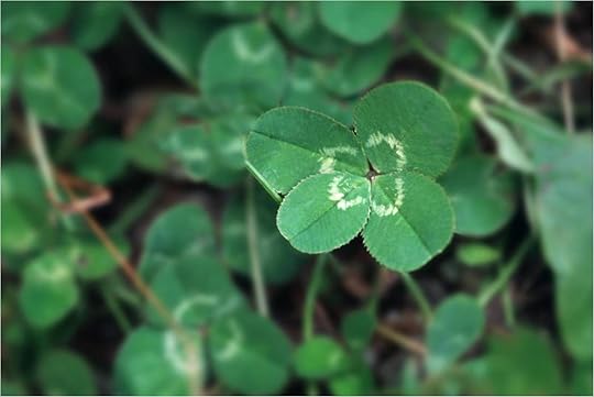 clover1