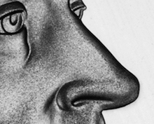 nickel nose