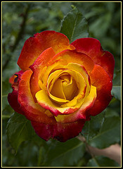 3713784600_aa8e4a5572_m