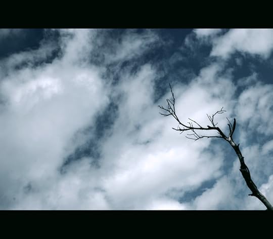 Inilah dia suaranya. ~ Picture by protogeny of deviant art