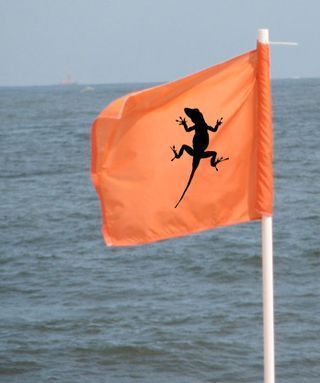 Lizardflag