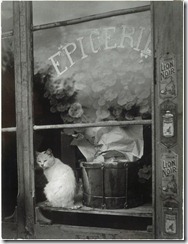 Brassai LeChatBlanc 1938 PompidouCenter-Paris