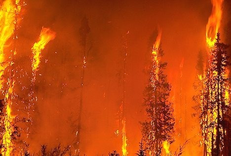 http://www.alaska-in-pictures.com/data/media/13/forest-fire_1076.jpg