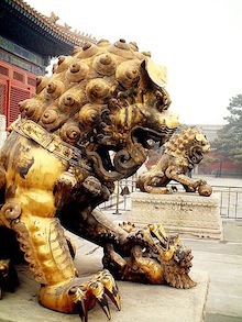 lion