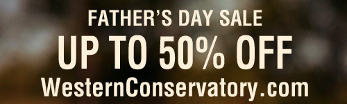 Fathers Day 50% Off Sale