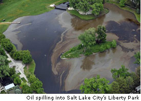 oil
