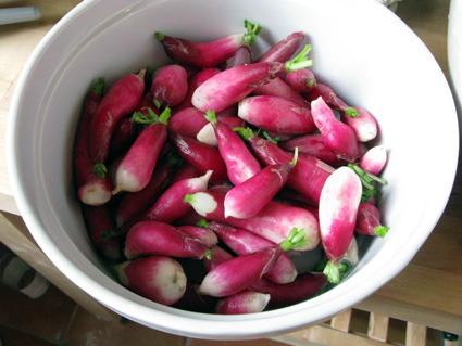 radishes