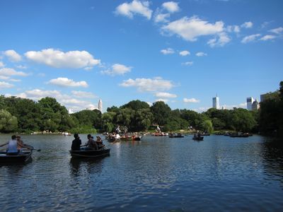 IMG_1231