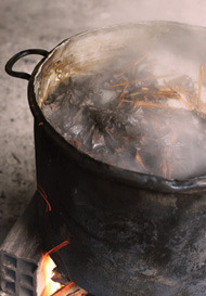AYAHUASCA
