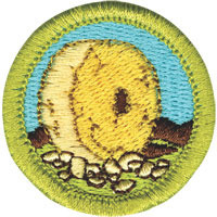 Boys Scouts invention badge