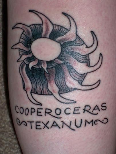 cooperoceras texanum tattoo440
