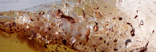 oil wave