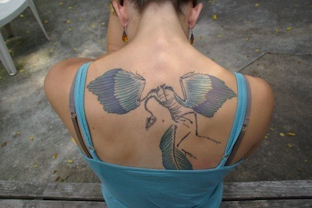 Eugenia archaeopteryx tattoo440