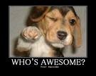 awesomeness Pictures, Images and Photos
