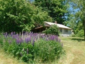 A Secluded Cottage in Maine - the Perfect Writer's Hideout