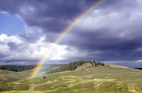 Yellowstone - HaydenValley