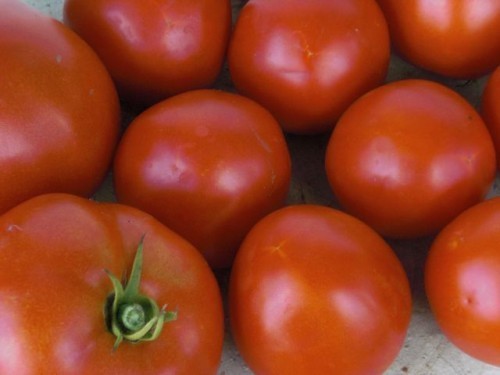 TomatoesBest