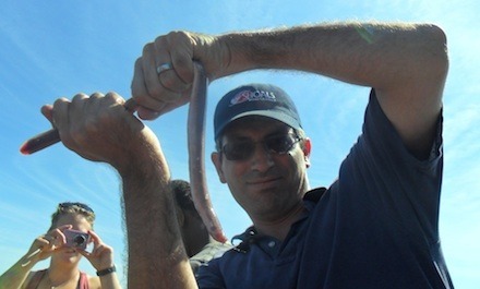 Caught hagfish440