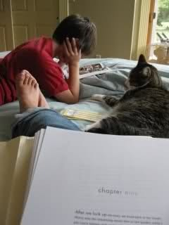 Image and video hosting by TinyPic