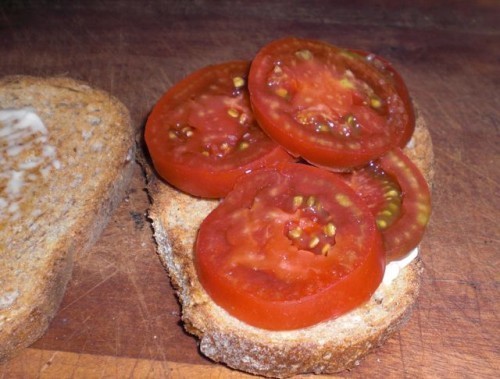 TomatoSandwich