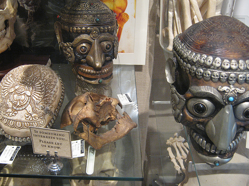 heads for sale
