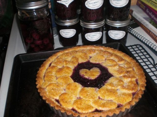 blackberryJamTart