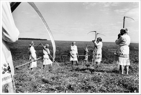 women reaping