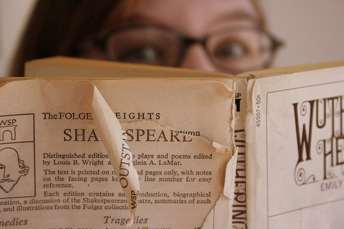Lost in Literature