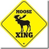 Moose_xing