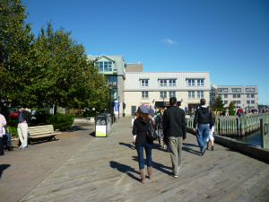 Boardwalk