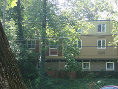 Morgan Hall