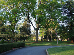 P4210019