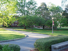 P4210021