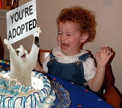 adopted