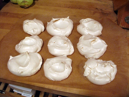 pavlova2