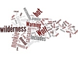 Wordle: Granite Lake Wolves