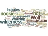 Wordle: Granite Lake Wolves 2